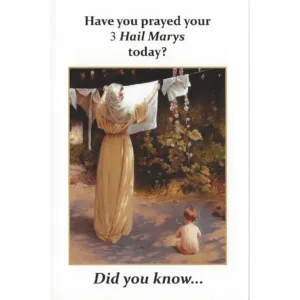 Have you prayed your 3 Hail Mary's today? (50 Pack)